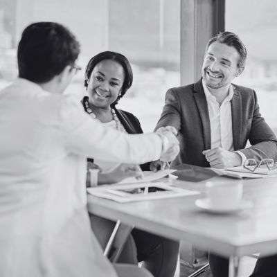 Representation Before the Board of Registration in Medicine, Professional Licensing Boards, and Administrative Agencies